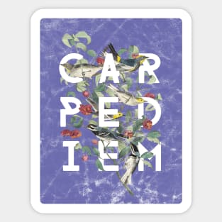Carpe Diem - Modern Typography with Vintage Birds in Periwinkle Sticker
